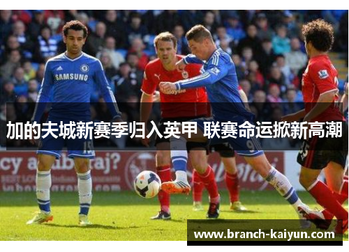 加的夫城新赛季归入英甲 联赛命运掀新高潮