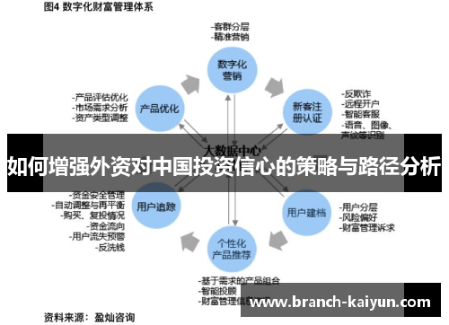 如何增强外资对中国投资信心的策略与路径分析